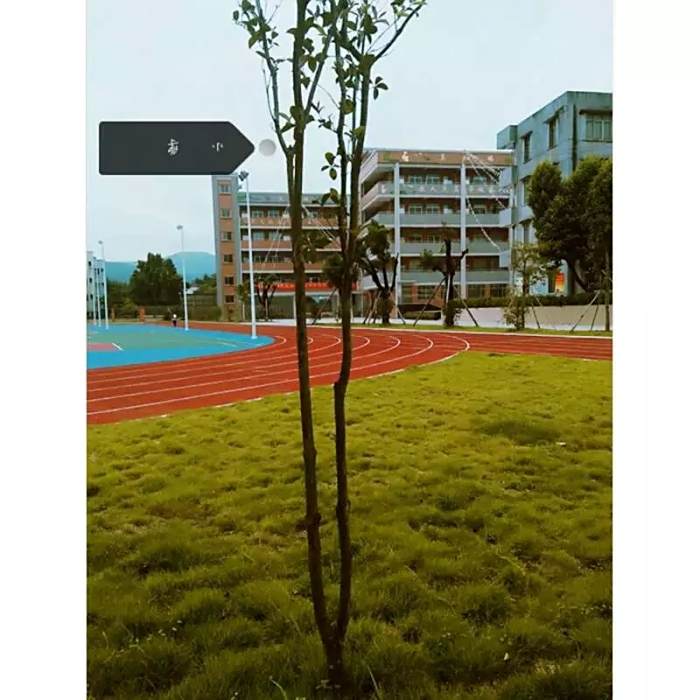 桐井國小 桐井國小