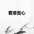 君意我心 君意我心