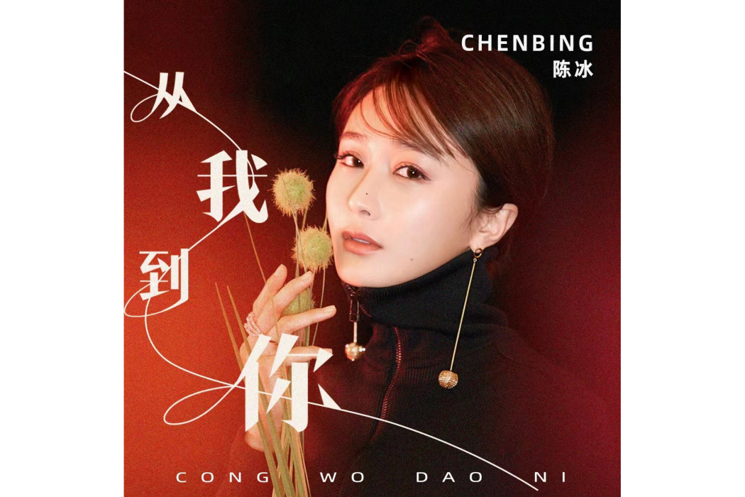從我到你(陳冰演唱歌曲) 從我到你(陳冰演唱歌曲)