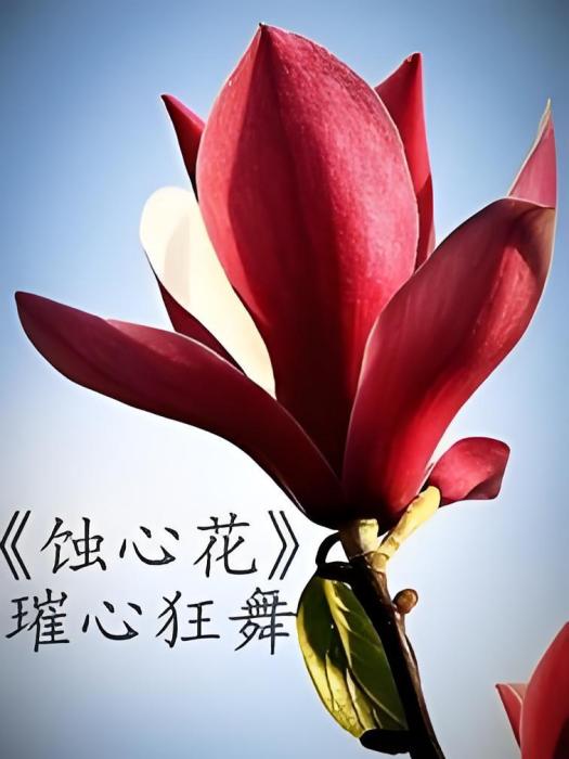 蝕心花