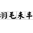 羽毛未豐 羽毛未豐
