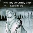 The Story of Grizzly Bear Looking Up The Story of Grizzly Bear Looking Up