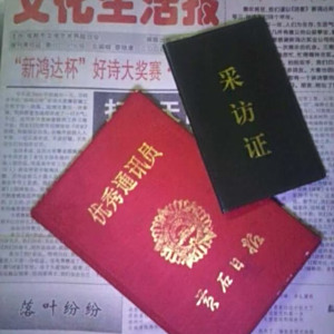 浪子文清