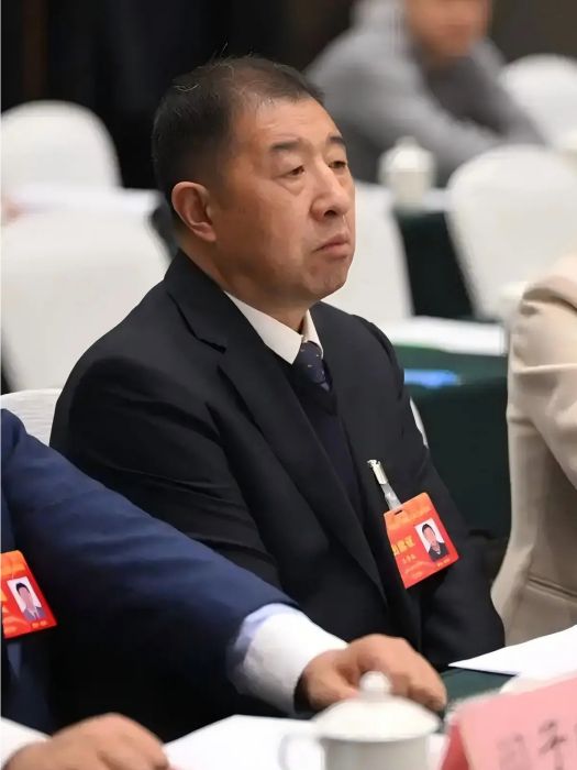 王景振(河南省人大代表,安陽市滑縣高平鎮大子廂后街村黨支部書記、村委會主任) 王景振(河南省人大代表,安陽市滑縣高平鎮大子廂后街村黨支部書記、村委會主任)