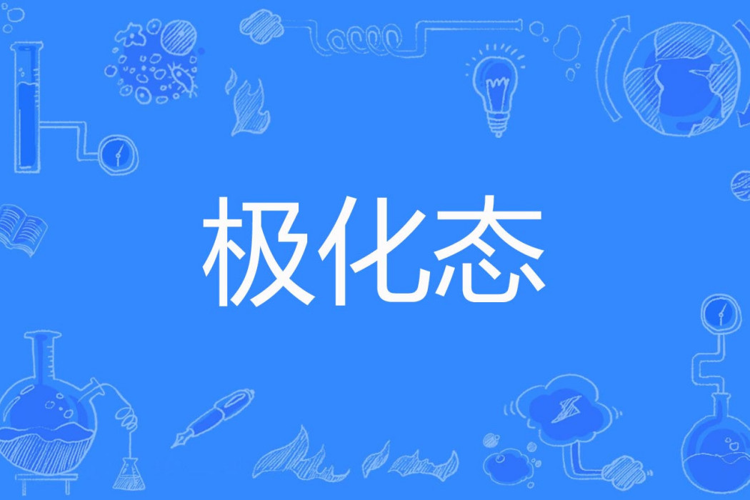 極化態 極化態