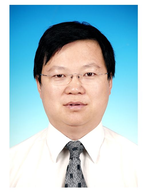 陳曦(中國科學院新疆分院分黨組書記) 陳曦(中國科學院新疆分院分黨組書記)
