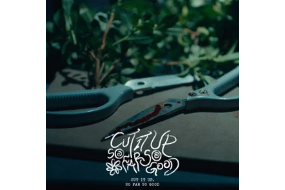 CUT IT UP CUT IT UP