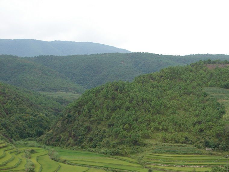 棚租村 棚租村