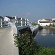 合泰村 合泰村
