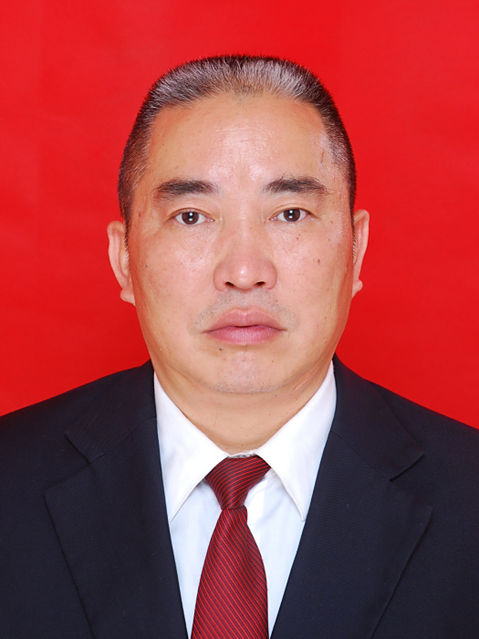 周建(重慶市大足區回龍鎮黨委委員、紀委書記、二級調研員) 周建(重慶市大足區回龍鎮黨委委員、紀委書記、二級調研員)