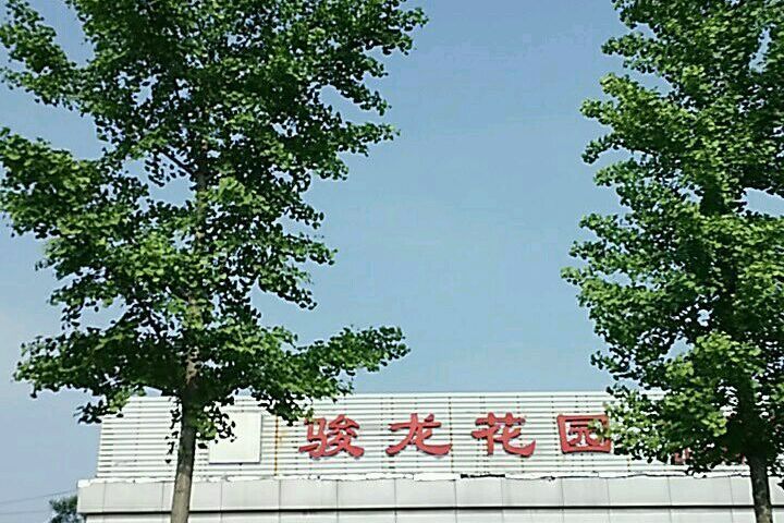 駿龍花園 駿龍花園