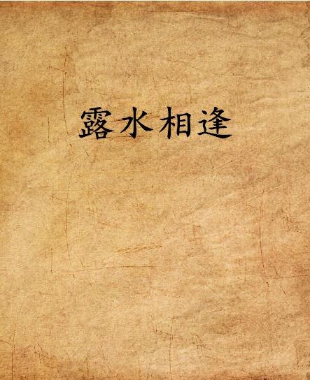 露水相逢 露水相逢