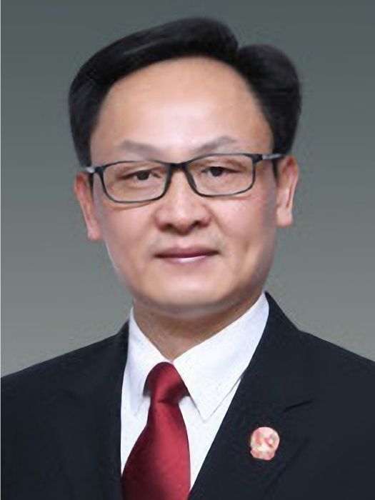 文勇(上海金融法院黨組成員、政治部主任) 文勇(上海金融法院黨組成員、政治部主任)