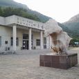 熊耳山地質博物館