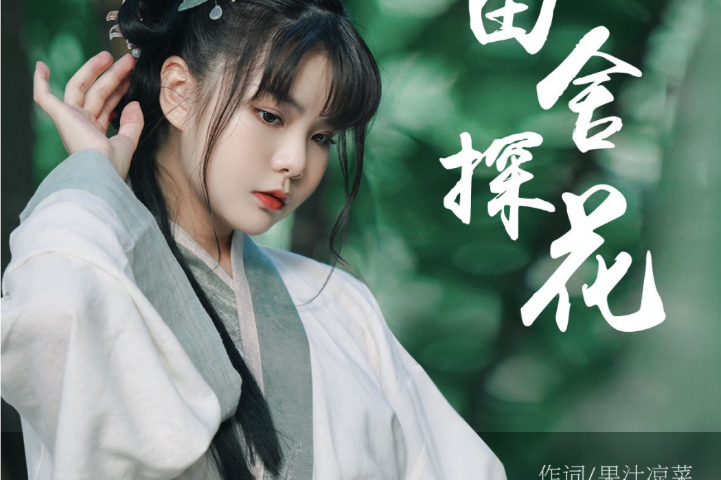 田舍探花 田舍探花