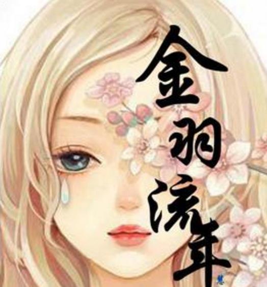 金羽流年 金羽流年