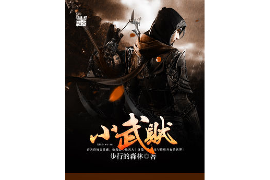 小武賊