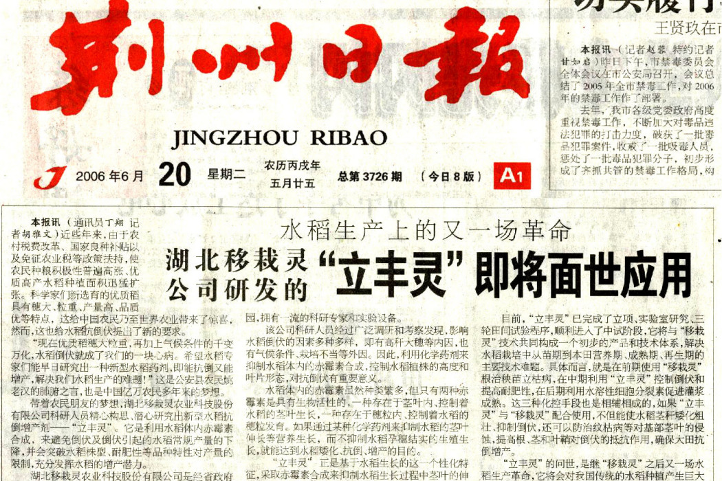 荊州日報 荊州日報