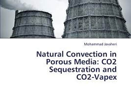 Natural Convection in Porous Media Natural Convection in Porous Media