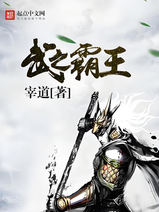 武之霸王 武之霸王