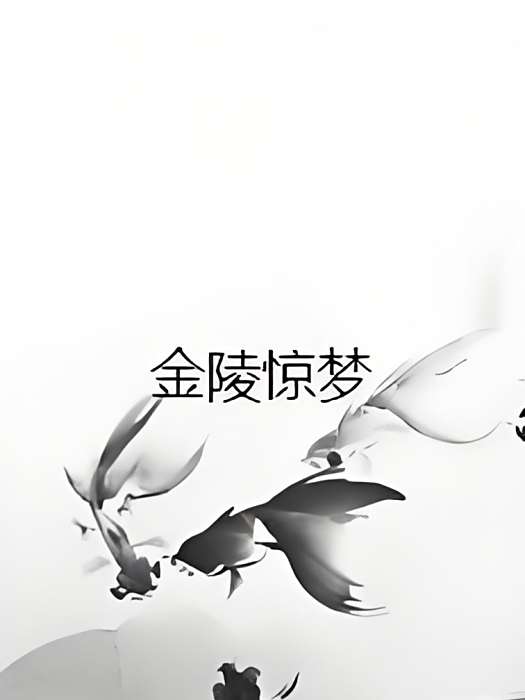 金陵驚夢 金陵驚夢