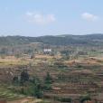 額依村 額依村