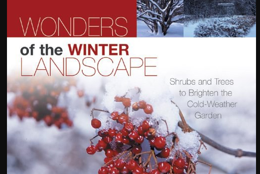 Wonders of the Winter Landscape Wonders of the Winter Landscape