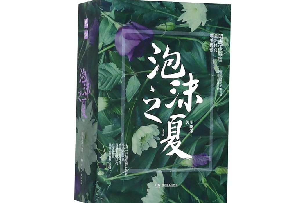 泡沫之夏(2018年湖南文藝出版社有限責任公司出版的圖書)