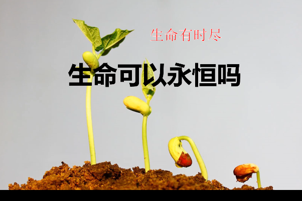 生命有時盡 生命有時盡