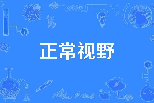正常視野 正常視野