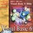 Visual Basic 6寶典 Visual Basic 6寶典