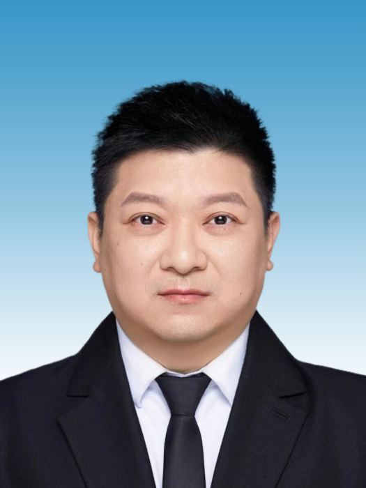 高林(重慶市涪陵區發展和改革委員會黨委委員、副主任)