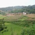 仙仁洞村(宜良縣耿家營彝族苗族鄉保功村委會仙仁洞村) 仙仁洞村(宜良縣耿家營彝族苗族鄉保功村委會仙仁洞村)
