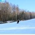 黑龍江日月峽滑雪場