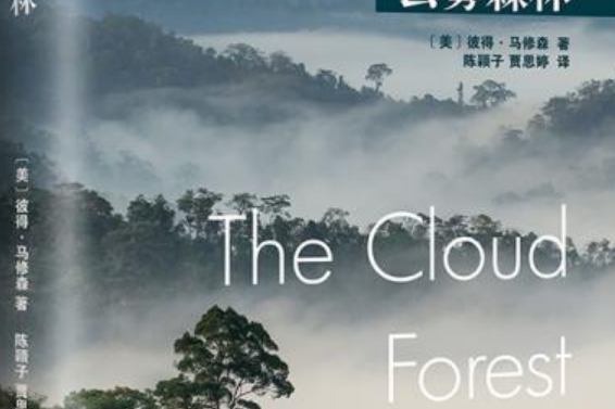 雲霧森林 雲霧森林
