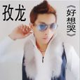 孜龍 孜龍