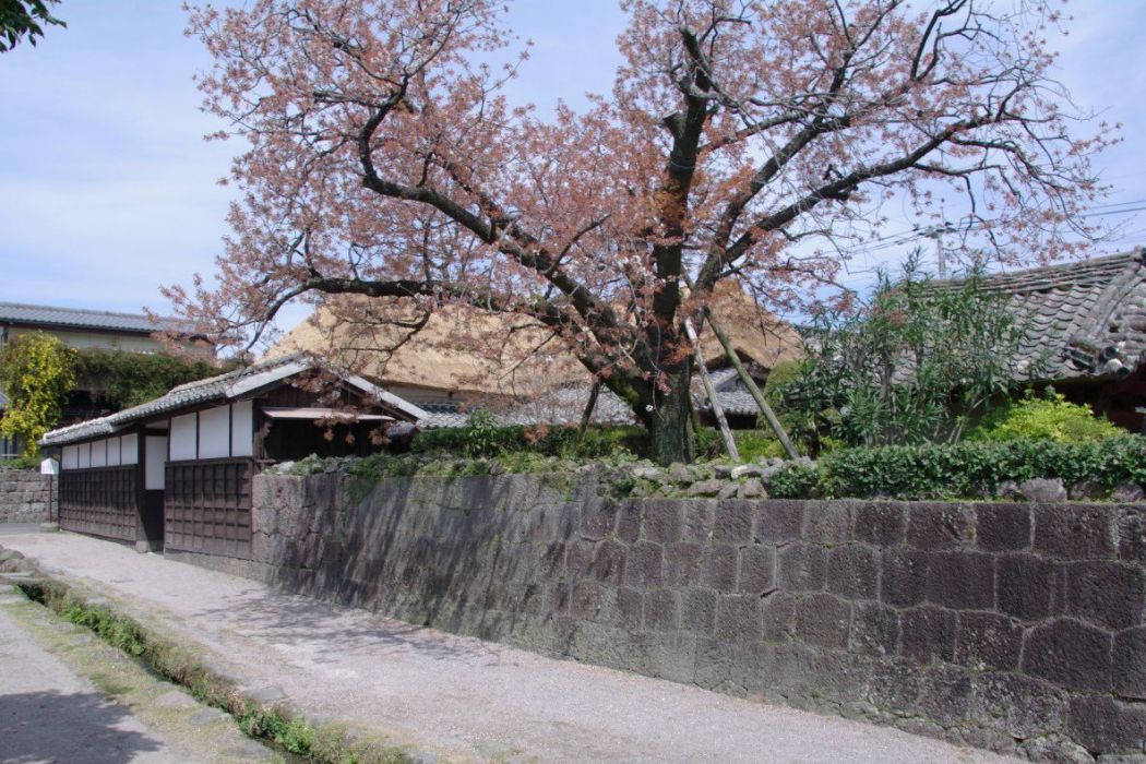 武家遺址 武家遺址