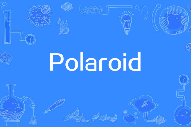 Polaroid(利亞姆·佩恩演唱的歌曲) Polaroid(利亞姆·佩恩演唱的歌曲)