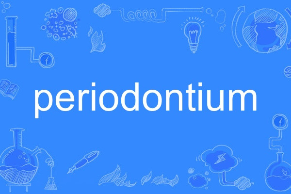 periodontium periodontium