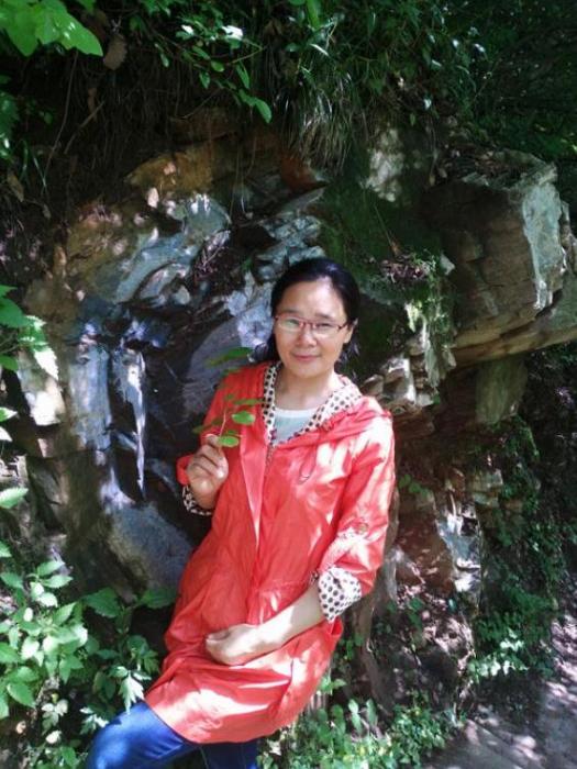 傅美蓉 傅美蓉