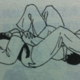 腕挫十字固 腕挫十字固