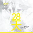 28天(【韓】丁柚井所著小說)