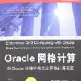 Oracle網路計算 Oracle網路計算