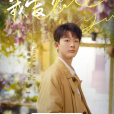 趙晉(電視劇《我知道我愛你》男主角) 趙晉(電視劇《我知道我愛你》男主角)