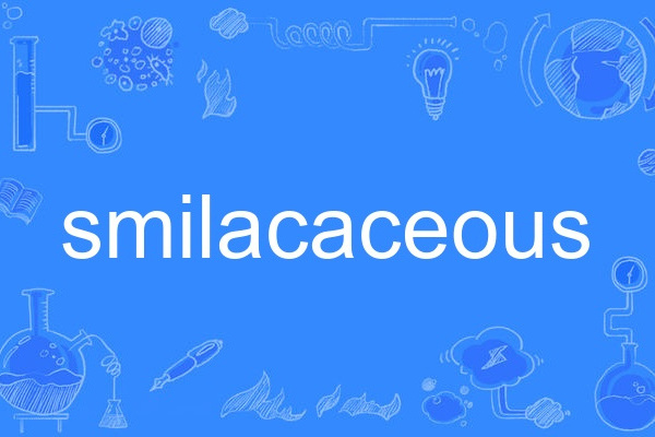 smilacaceous smilacaceous