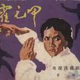 霍元甲(1) 霍元甲(1)