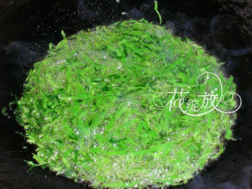 菠菜松 菠菜松