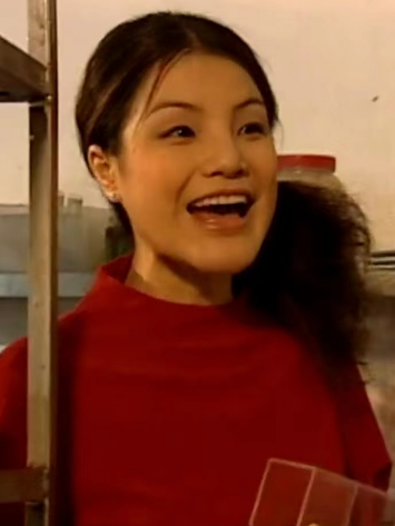 何美麗(時裝警匪劇《談判專家》中的角色) 何美麗(時裝警匪劇《談判專家》中的角色)