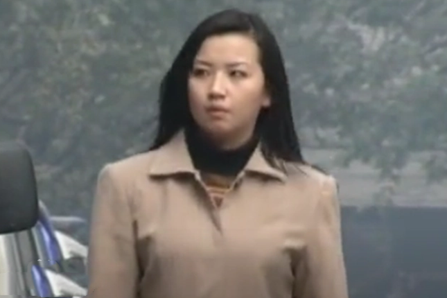 李欣(女演員) 李欣(女演員)