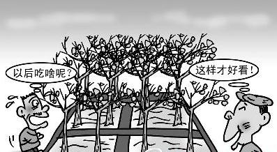 水田種樹漫畫